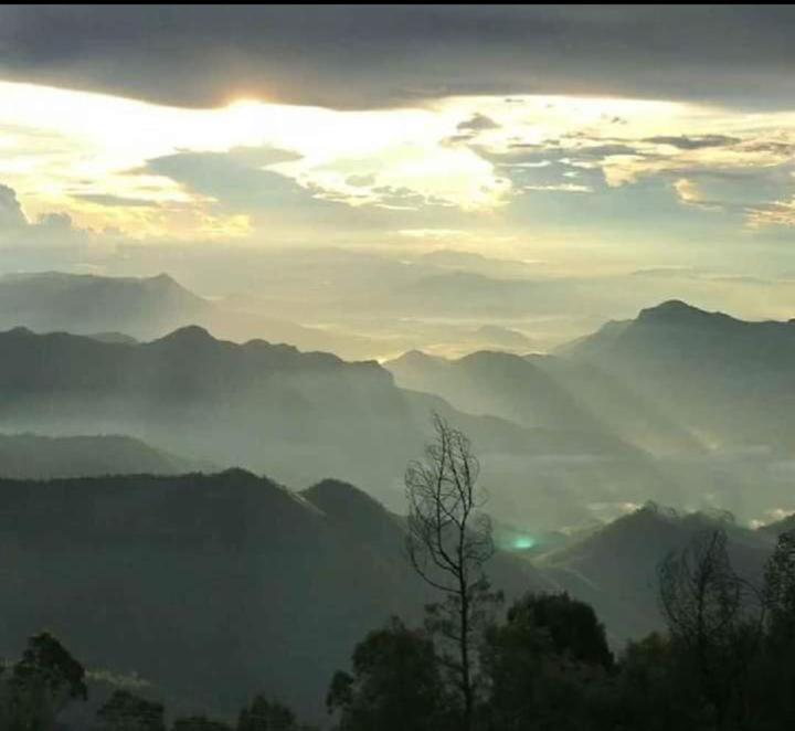 Praveen'S Wood House Kodaikanal Vattakanal Kültér fotó