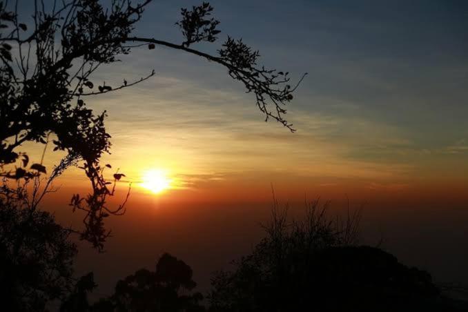 Praveen'S Wood House Kodaikanal Vattakanal Kültér fotó